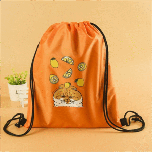drawstring backpack db 001